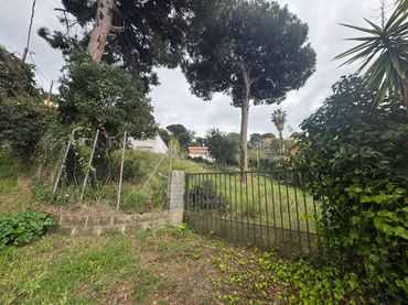 Terreni e lotti in vendita a Mas Mora - Sant Daniel