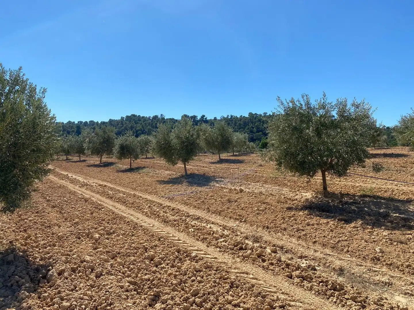 Casa o chalet en venta en Alcañiz con Terraza