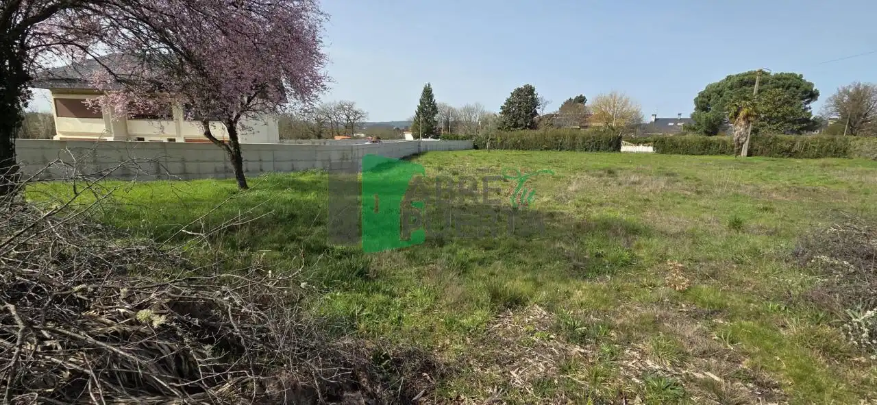 Terreni e lotti in vendita a O Pereiro de Aguiar, imagen 5