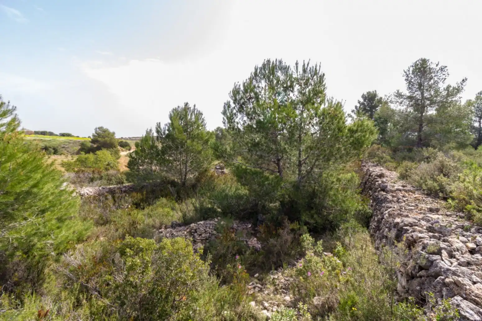 Rustikales Grundstück zum Verkauf in Monserrat - Montserrat - Calle de la malaguenya, imagen 6