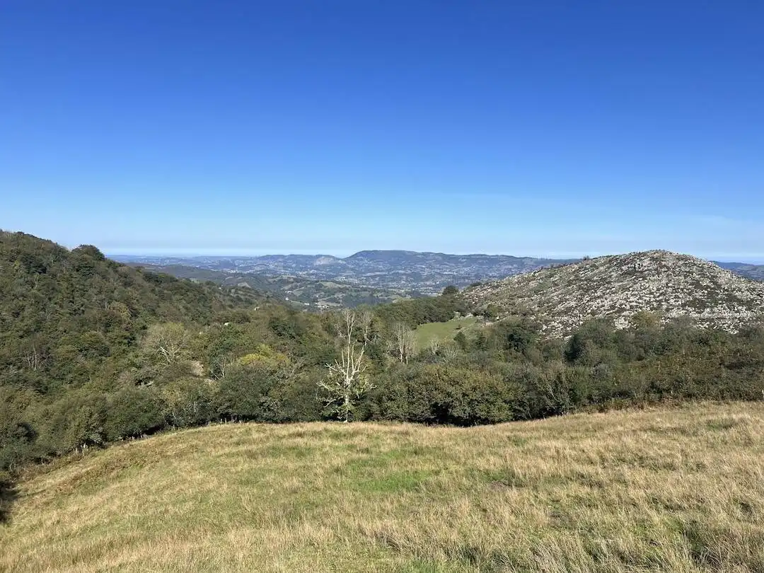 Maison à vendre à Nava, imagen 15