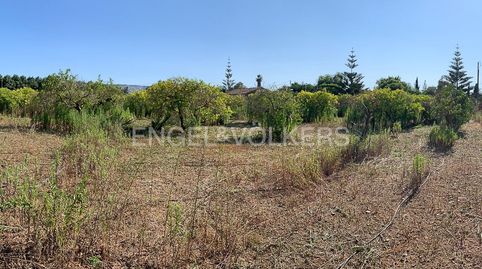 Enorme finca con mucha posibilidad!, imatge 2