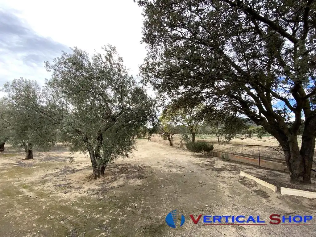 Casa o chalet en venta en Caudete