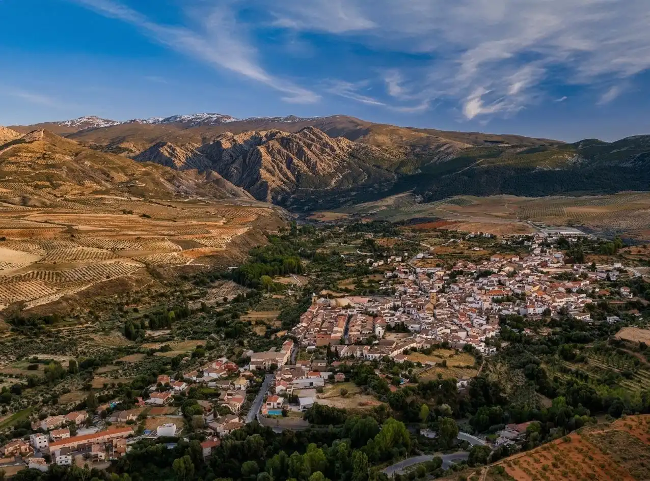 Vista exterior de Casa o xalet en venda en Dílar amb Jardí privat