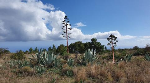 Foto 3 de Residencial en venta en La Hoya, 11, El Pinar de El Hierro, Santa Cruz de Tenerife
