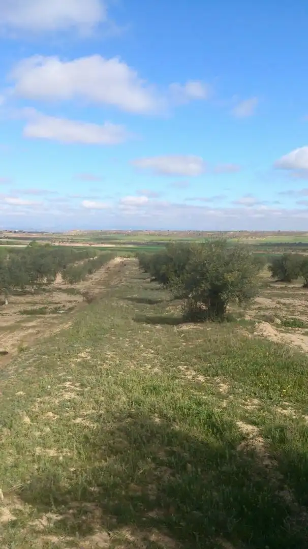 Residencial en venta en Sant Martí de Riucorb