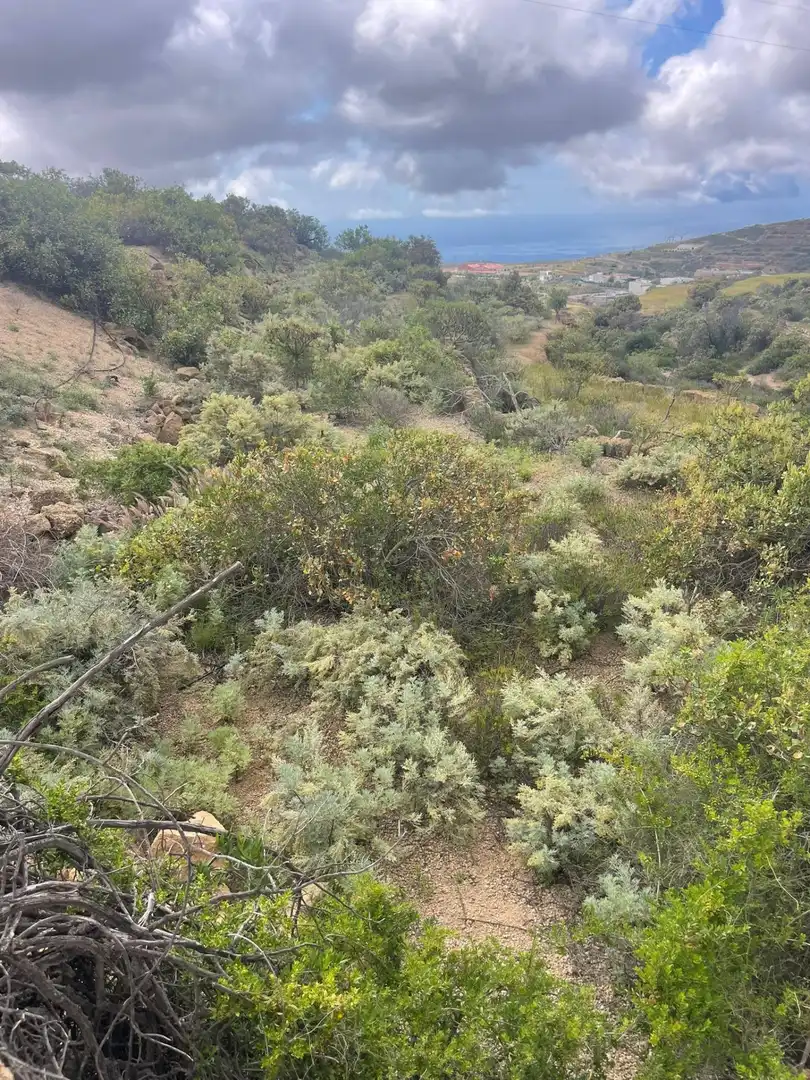 Terreno rustico in vendita a Arico, imagen 11