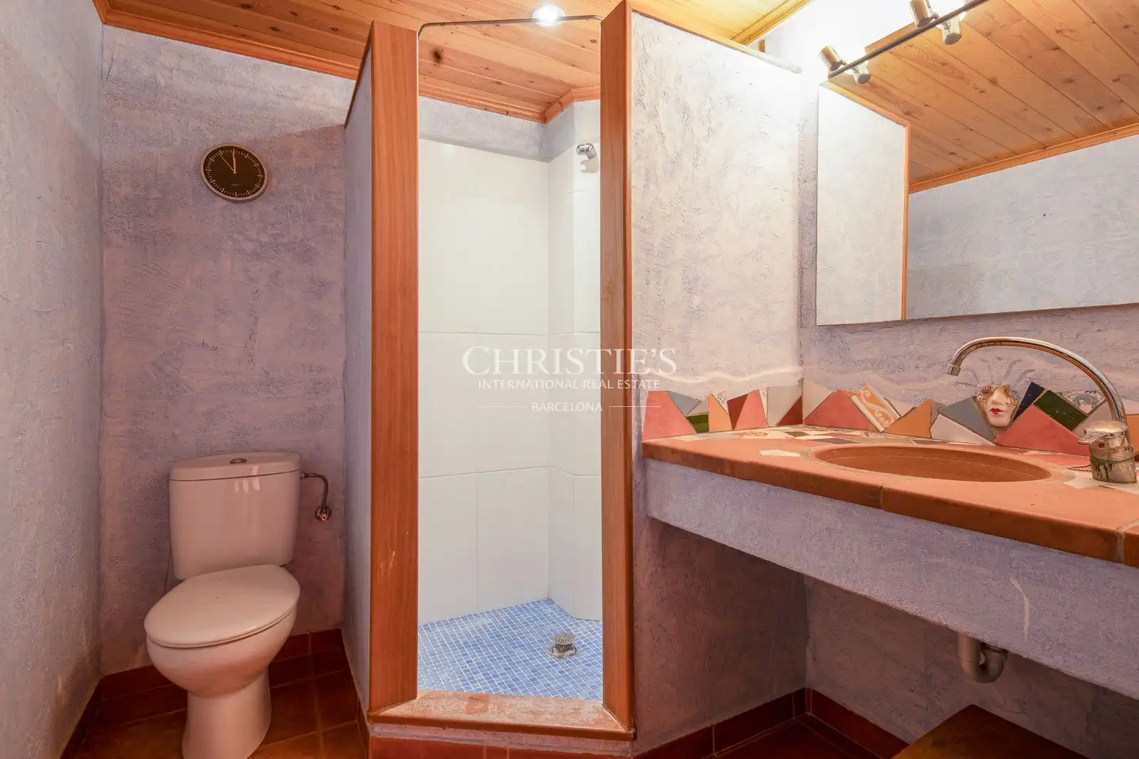 Others for sale in Cami del Mar, imagen 46