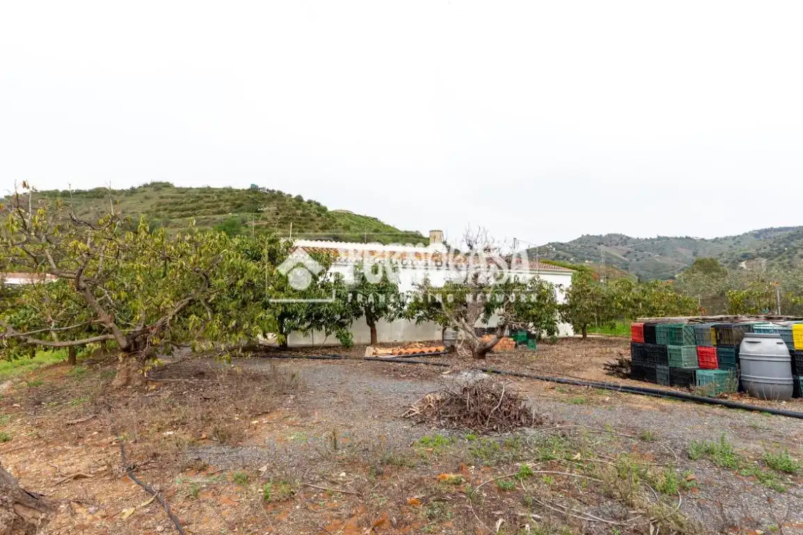 Casa rústica amb jardí en venda a Cútar, imagen 32