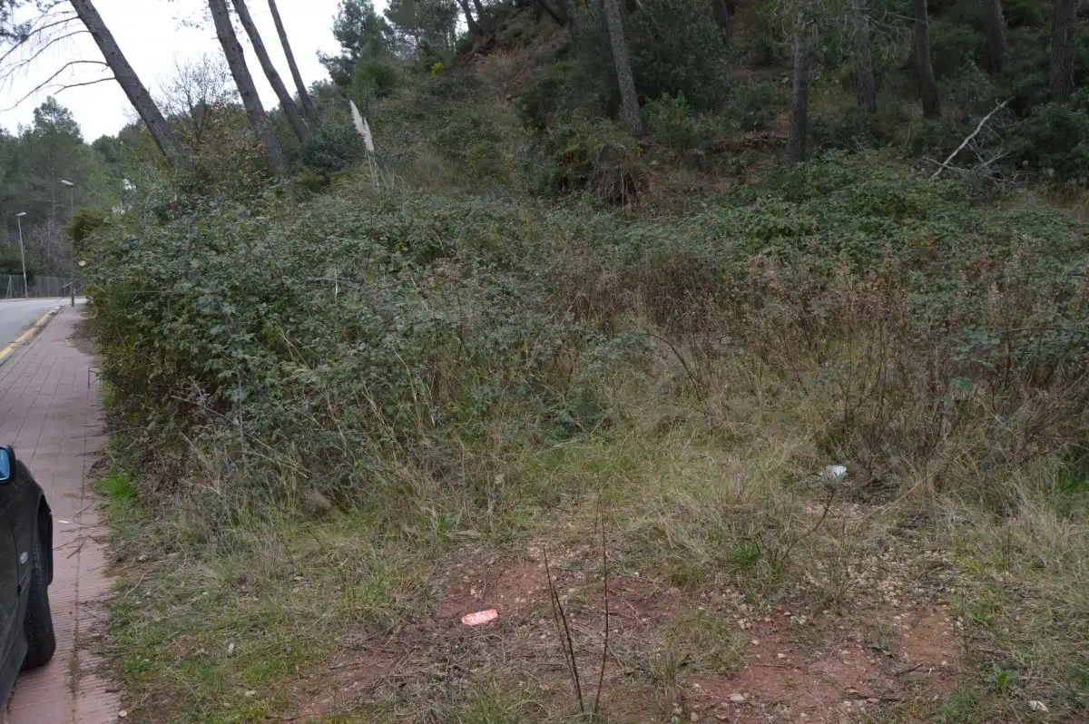 Terreni e lotti in vendita a Corbera de Llobregat, imagen 7
