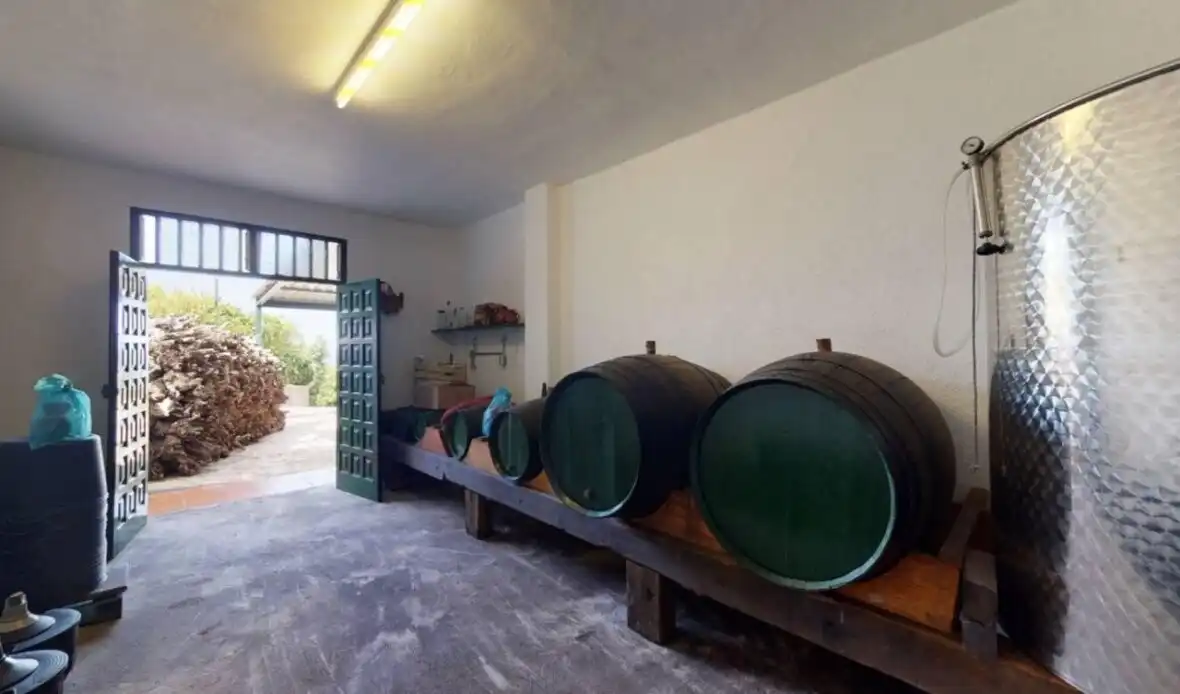 Finca rústica en venda en La Orotava amb Terrassa