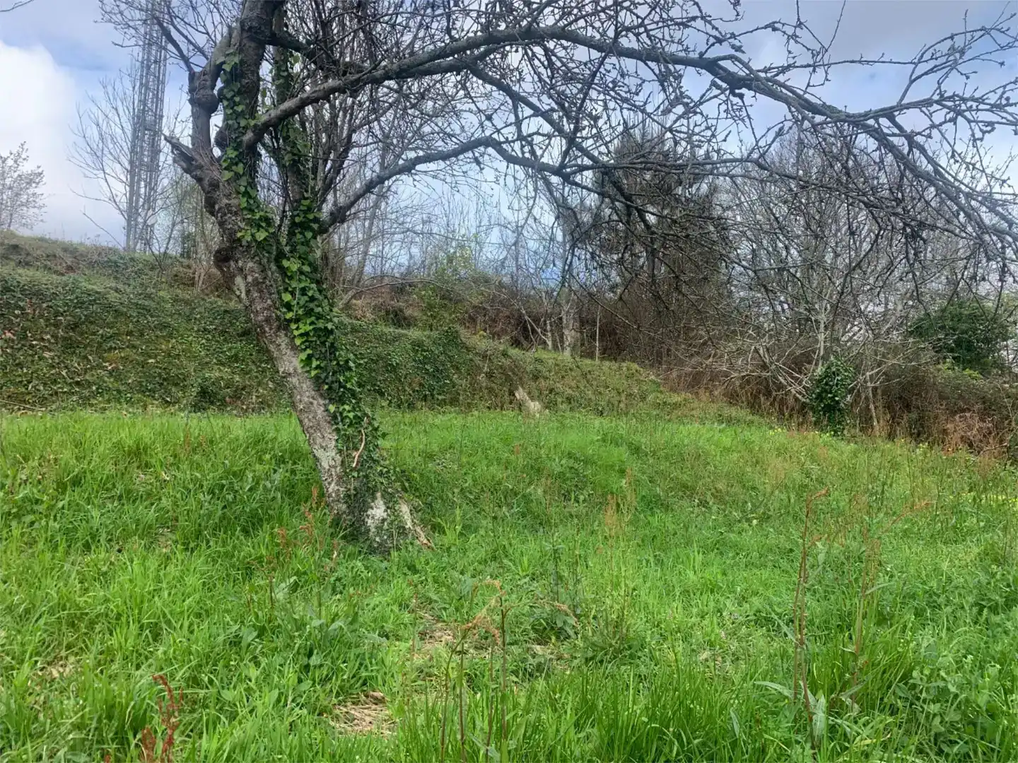 Piso en venta en Boiro