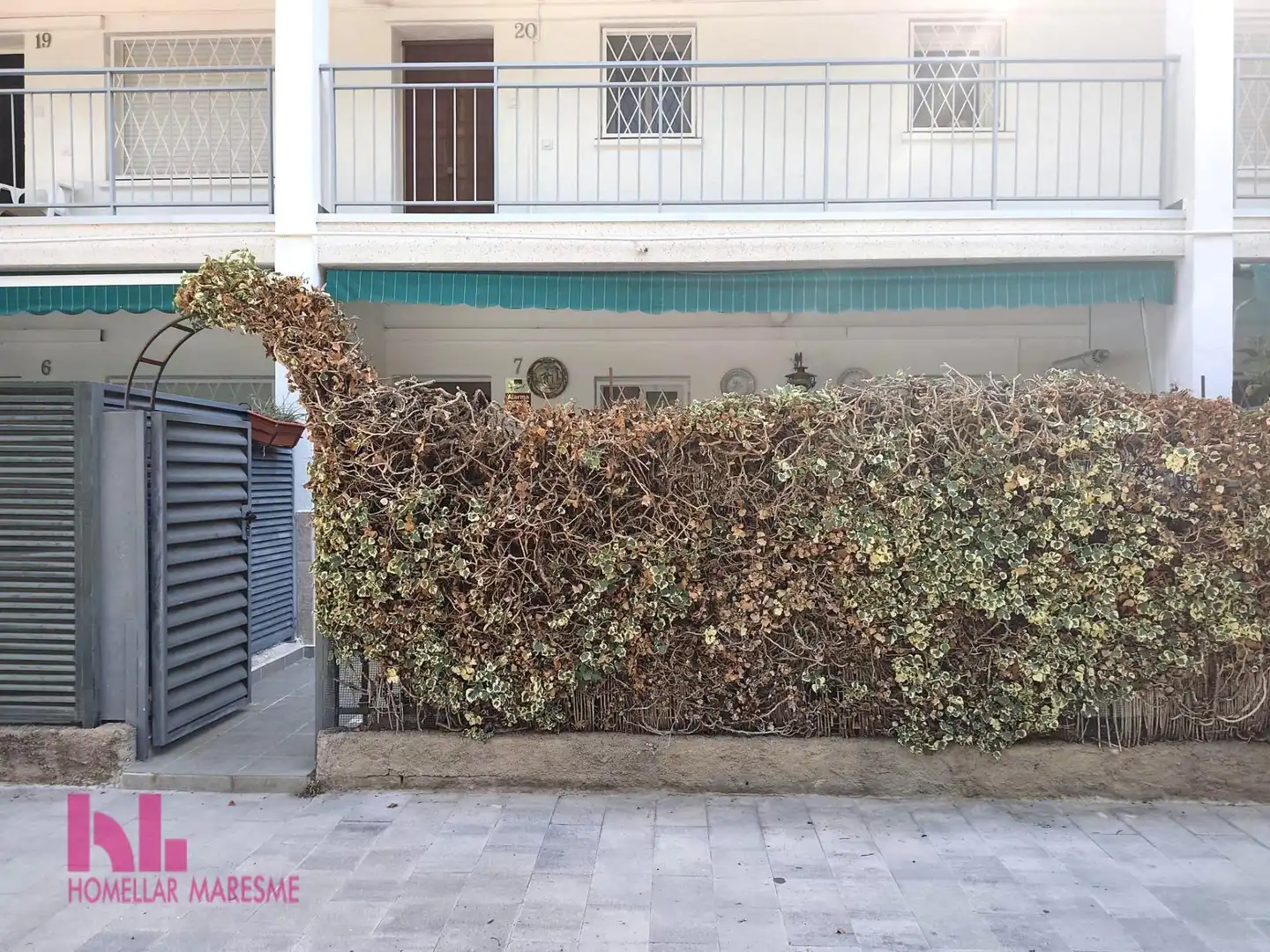 Exterior view of Flat for sale in Santa Susanna  with Terrace and Community pool