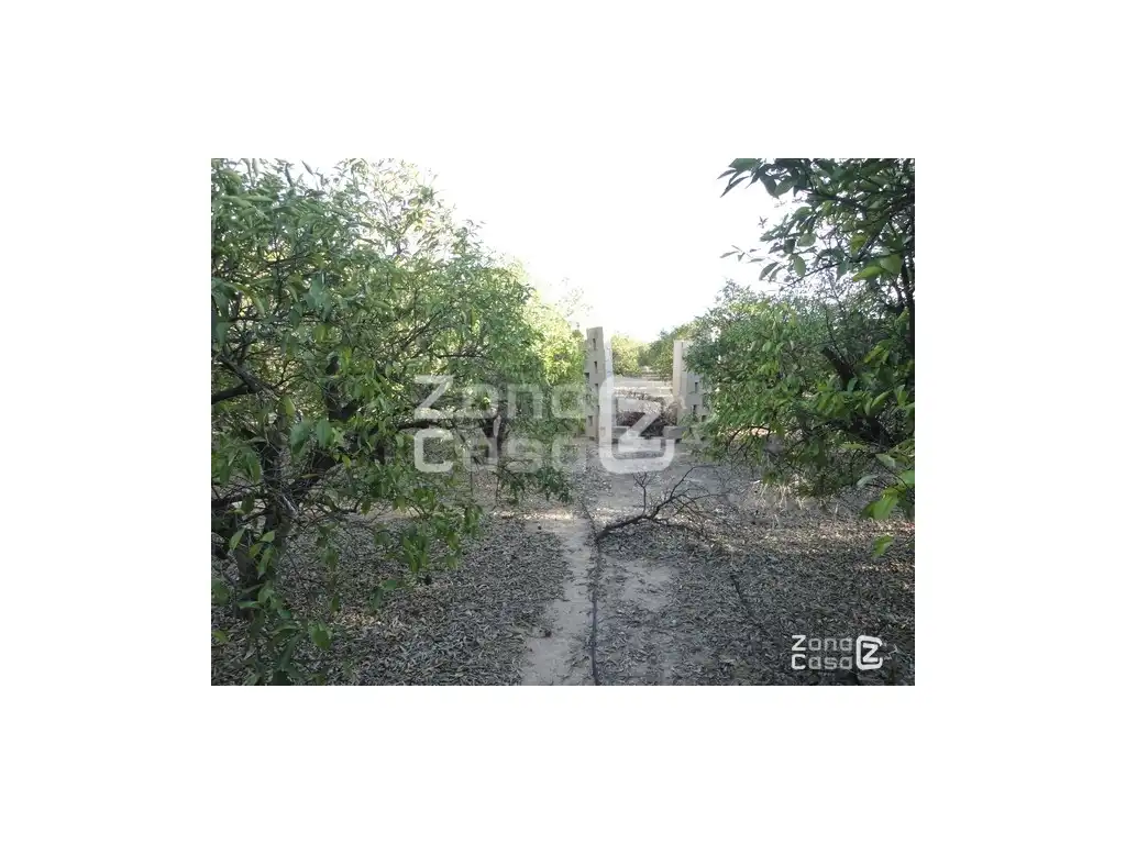 Finca rústica en venda en Benimuslem, Valencia