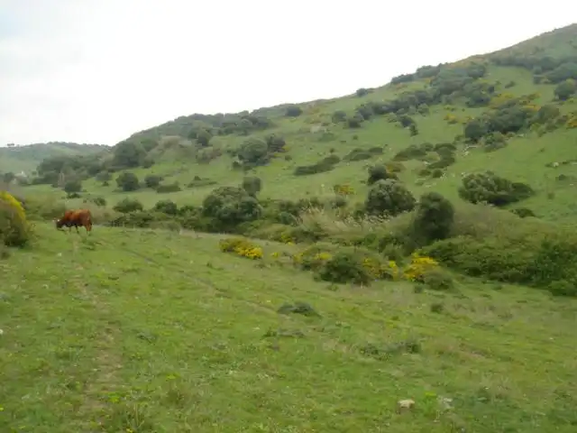 Casa rústica en venda a Cañada de Matatoros, imagen 5
