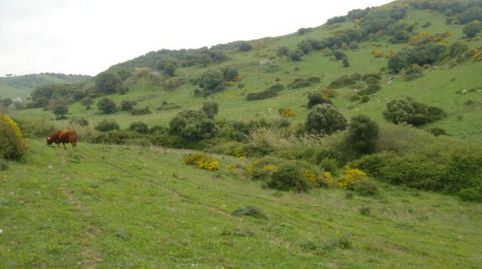 Foto 5 de Finca rústica en venta en Cañada de Matatoros, Tarifa ciudad, Tarifa