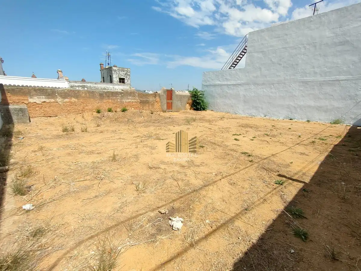 Lands and plots for sale in Nueva Alcalá, imagen 3