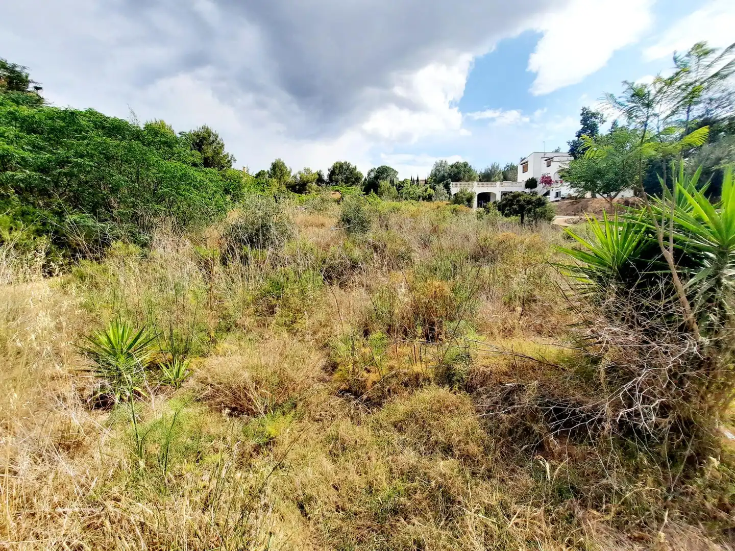 Terreny residencial en venda a Alberic, imagen 7