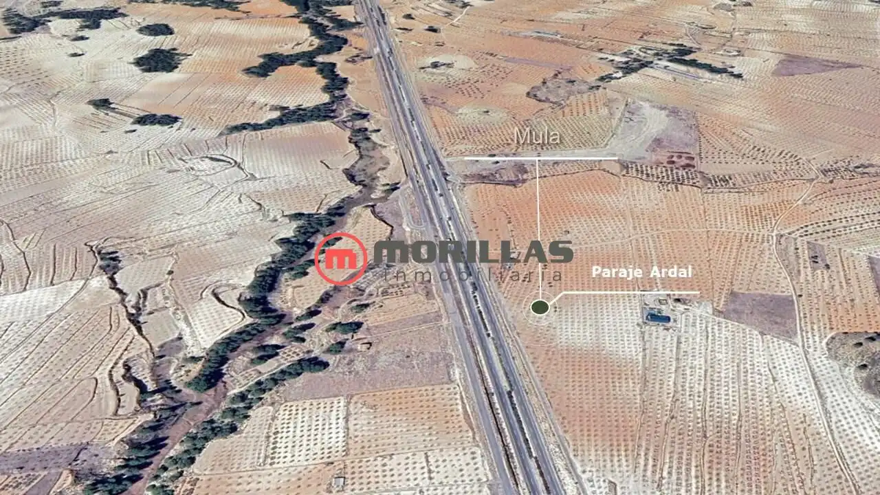 Rural land for sale in Calle de Polígono F 209, imagen 6