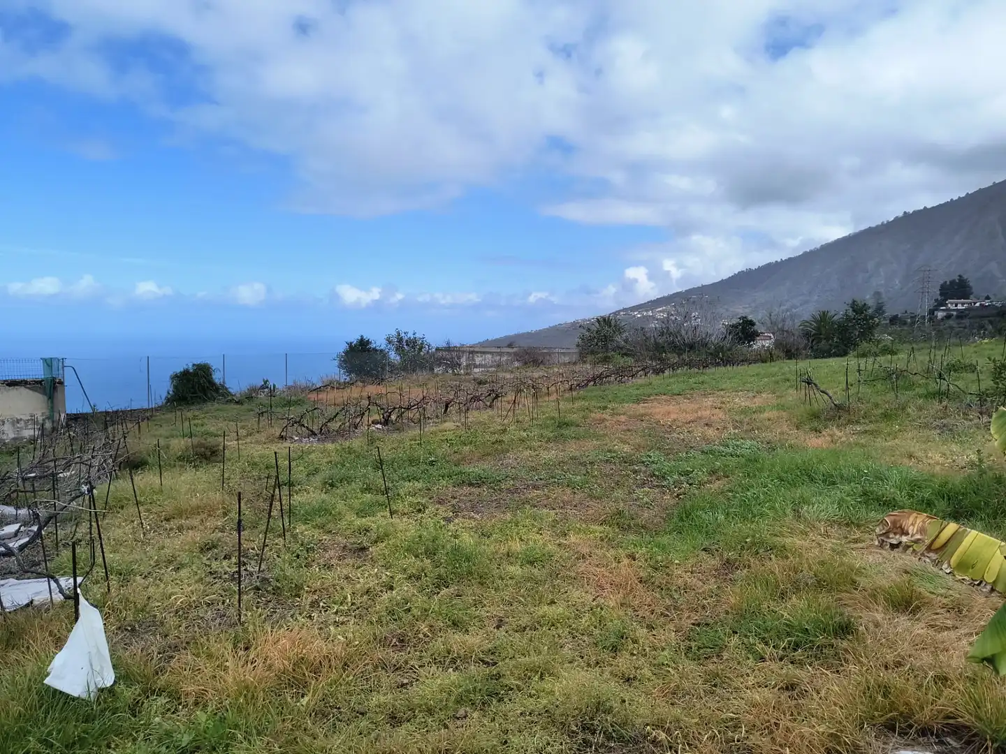 Houses for sale in La Orotava  with Private garden, Terrace and Storage room