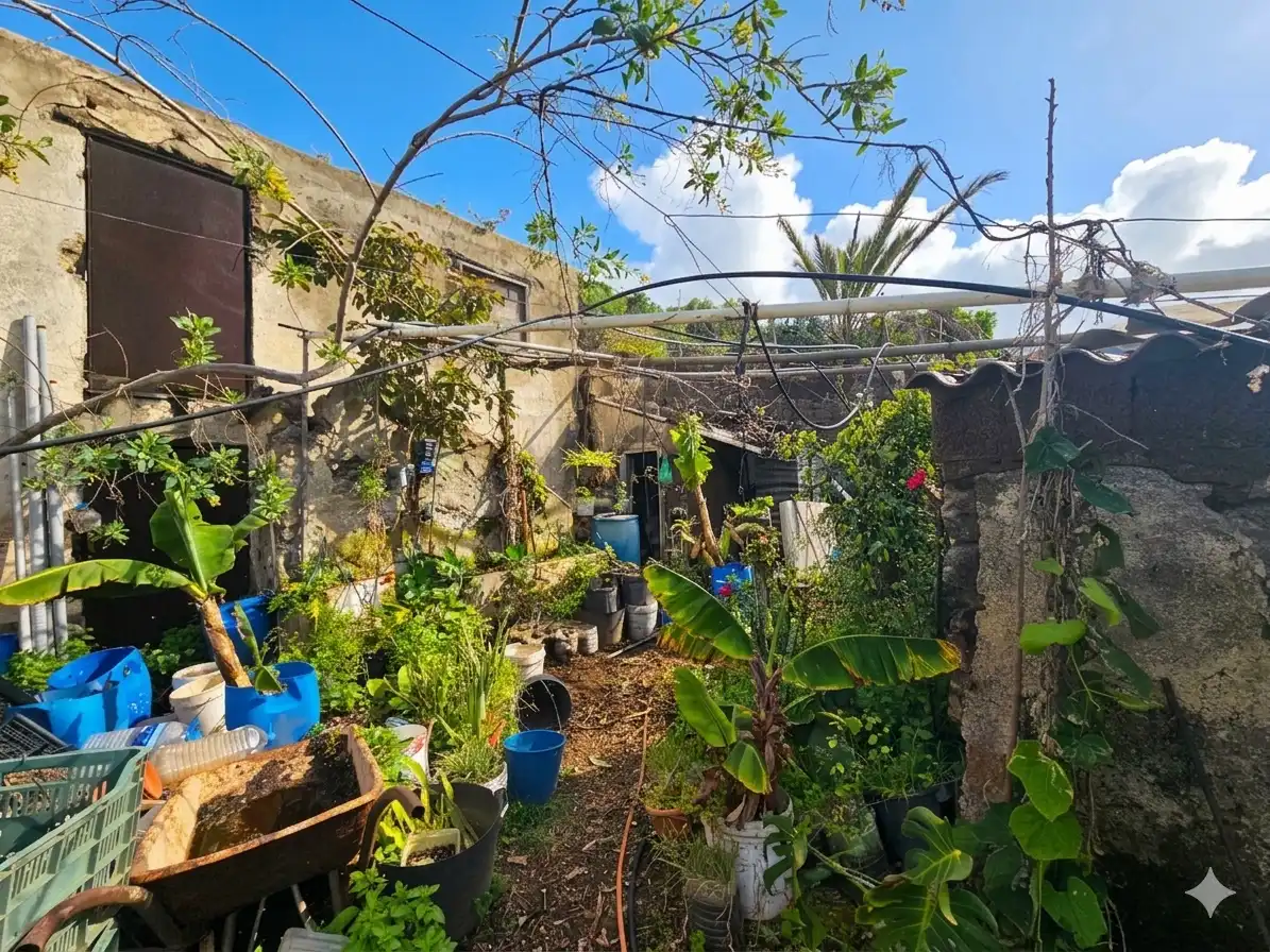 Garden of Country homes for sale in Icod de los Vinos