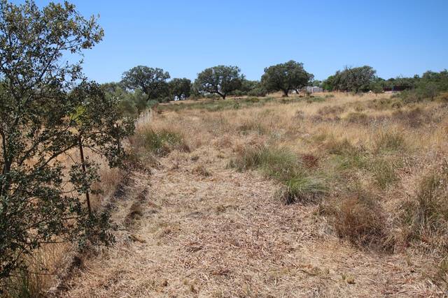 Terreno residencial en Venta en  Tres Arroyos en Carretera de Sevilla - Los Montitos