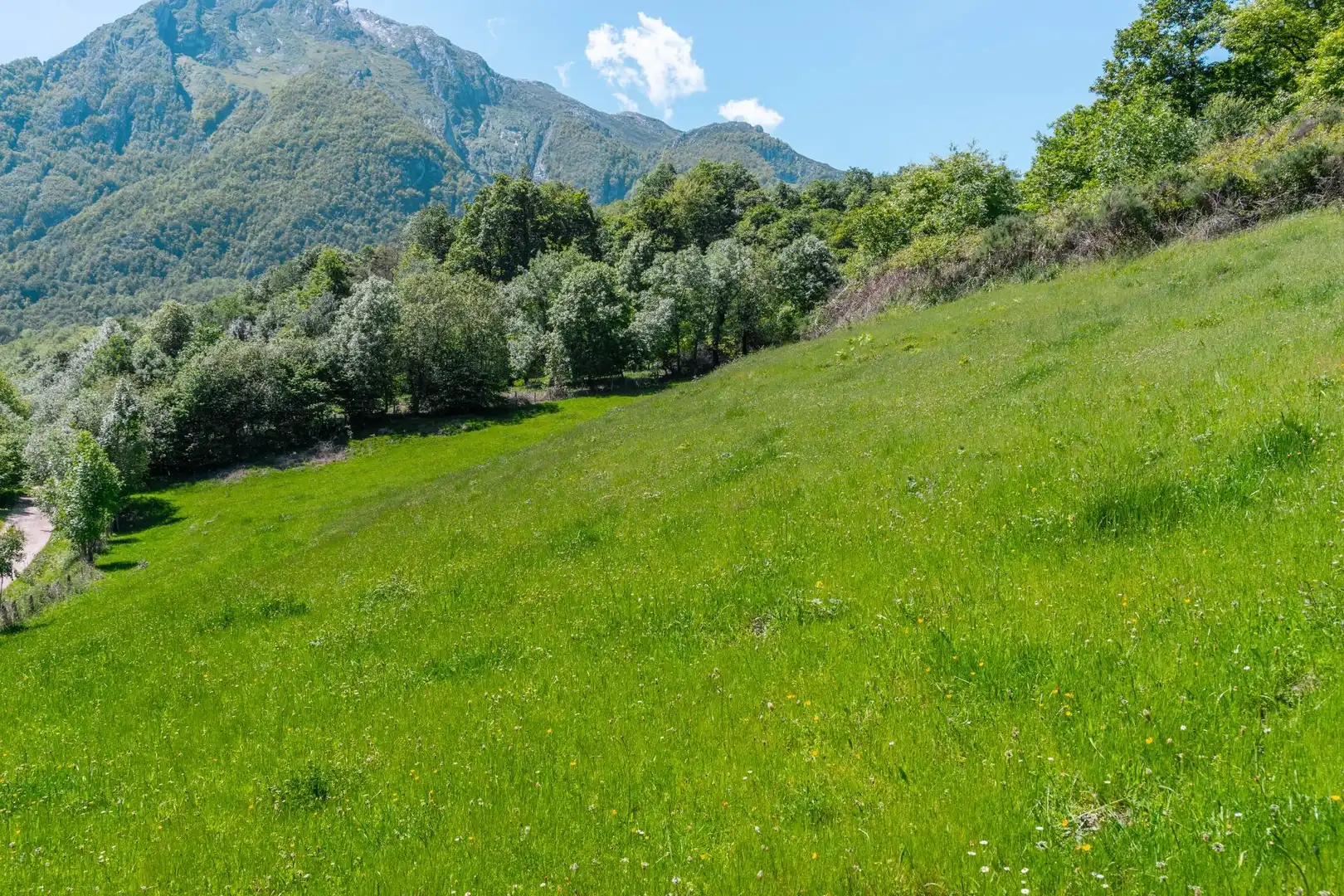 Casa o chalet en venta en Quirós