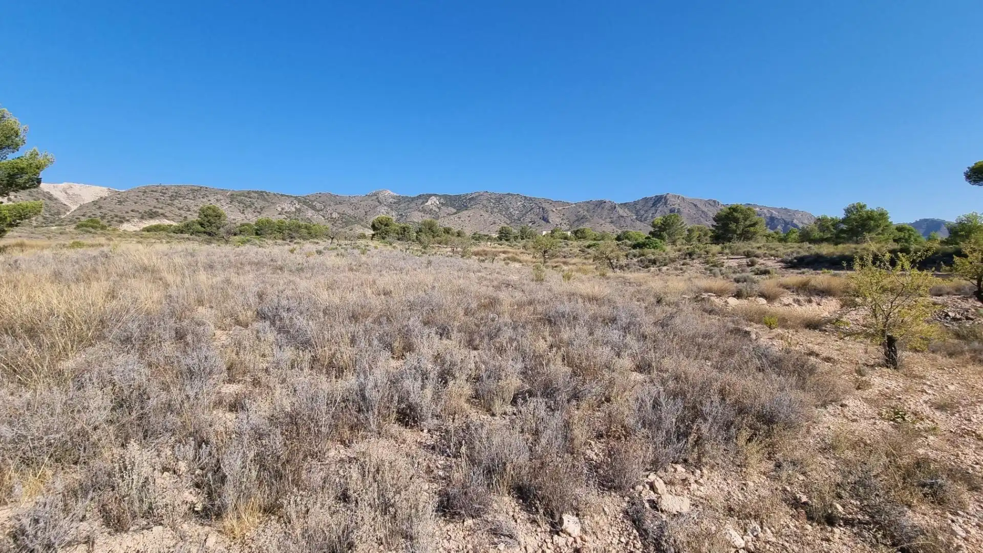 Lands and plots for sale in Abanilla, imagen 9