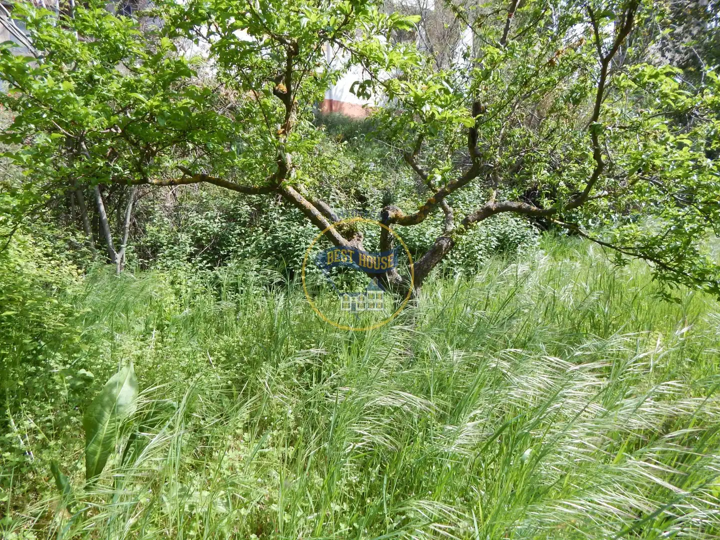 Casa o xalet en venda en Bocairent amb Jardí privat, Traster i Piscina