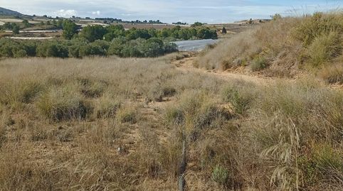Terreno en Venta en Aledo, immagine 4