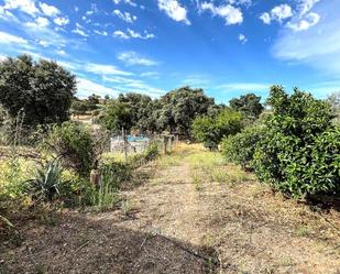 Finca rústica en venda en Badajoz Capital