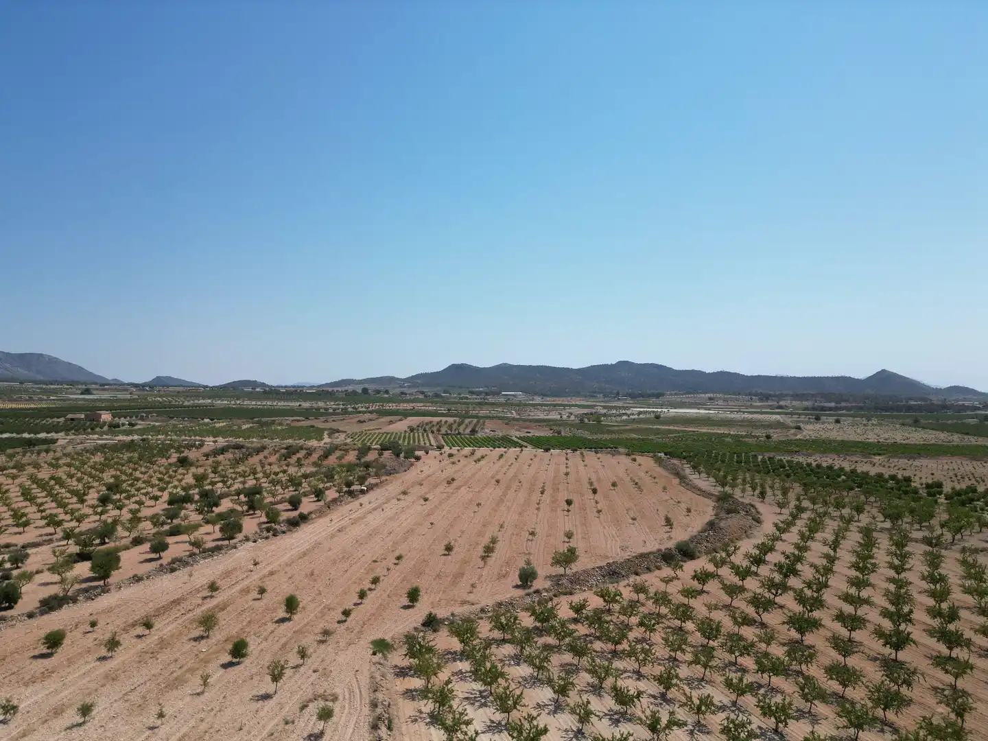 Terreno residencial en venta en El Pinós / Pinoso, imagen 7