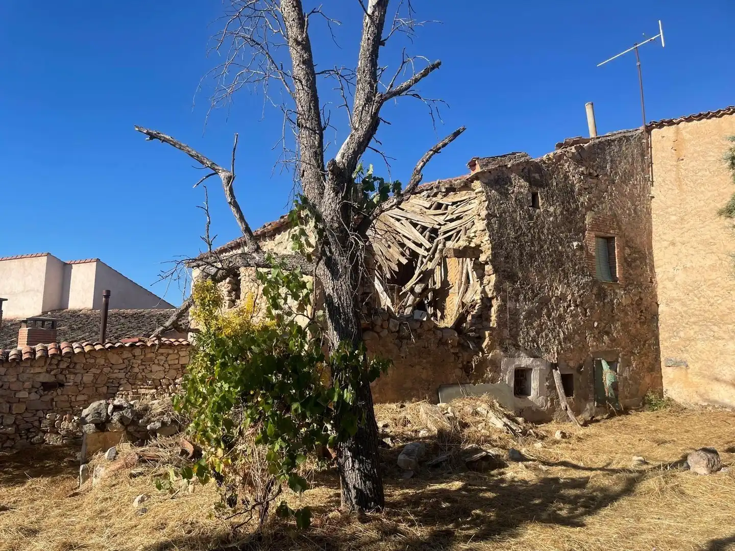 Vista exterior de Casa o xalet en venda en Caballar amb Jardí privat