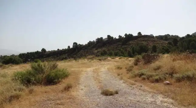 Terrains et parcelles à vendre à Pt Llana Diputación de la Parrilla, imagen 11