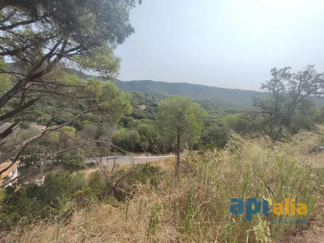 Residential land for sale in Carrer Càceres 10, imagen 4