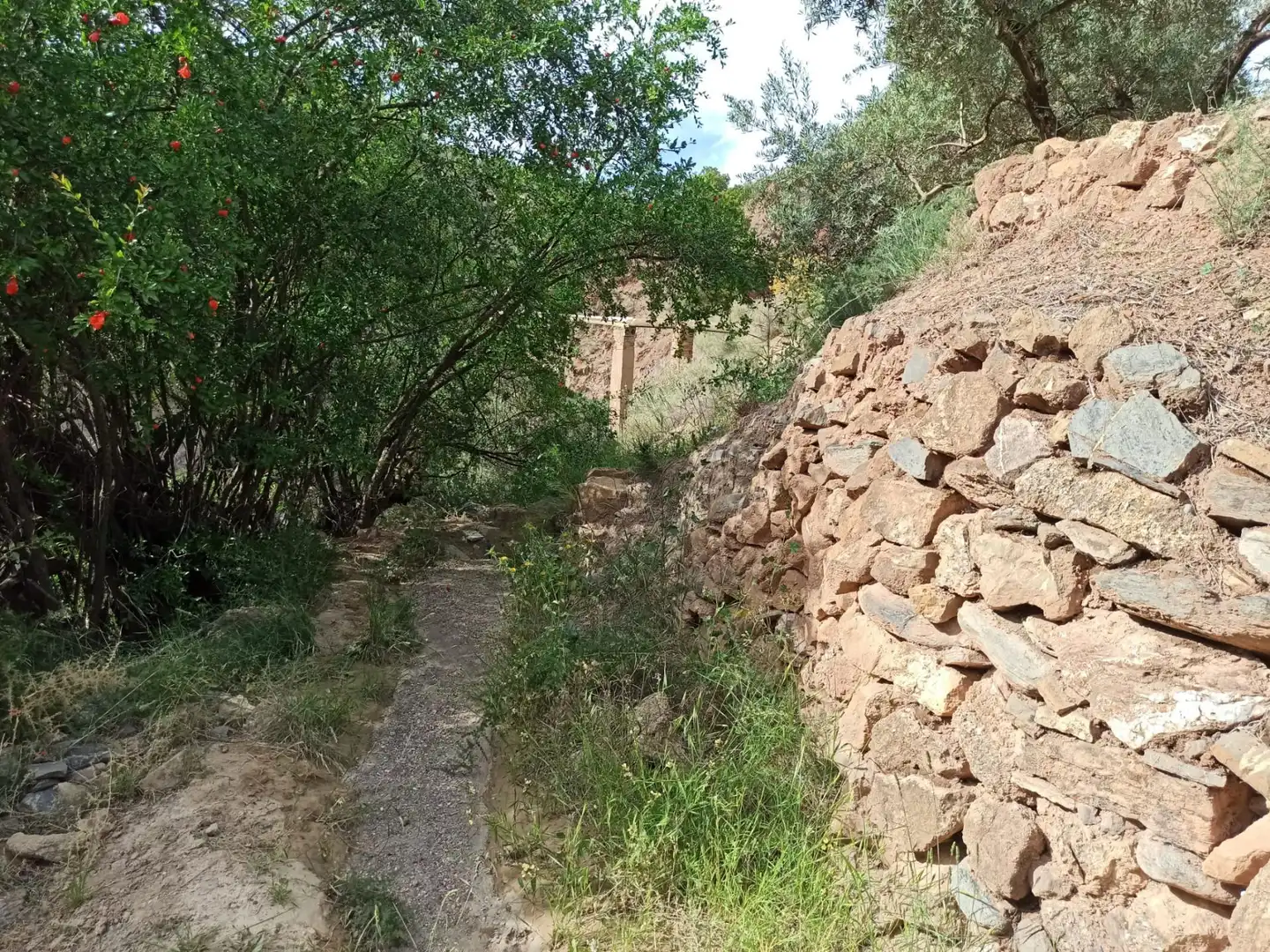 Residential land for sale in Alcolea, imagen 8