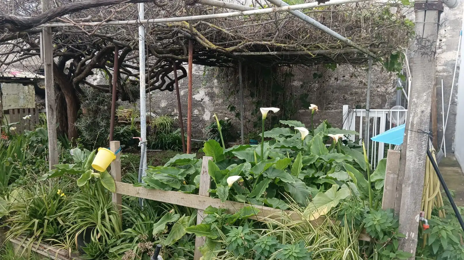Casa o xalet en venda a La Vega - El Amparo - Cueva del Viento