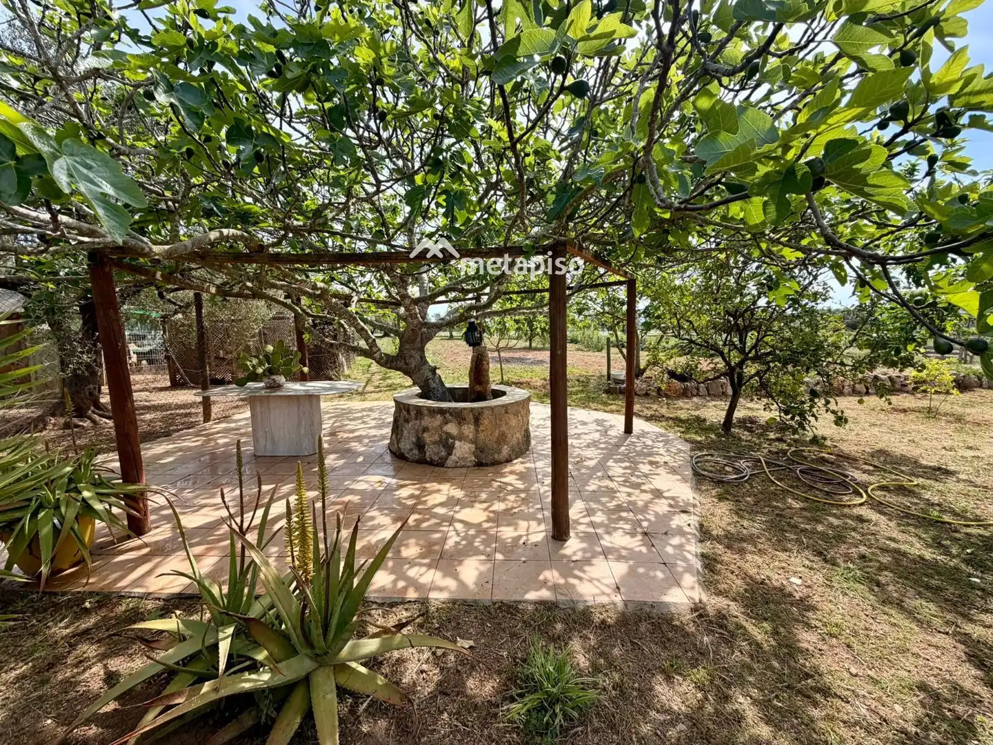 Terreno rustico in vendita a Santa Oliva, imagen 40