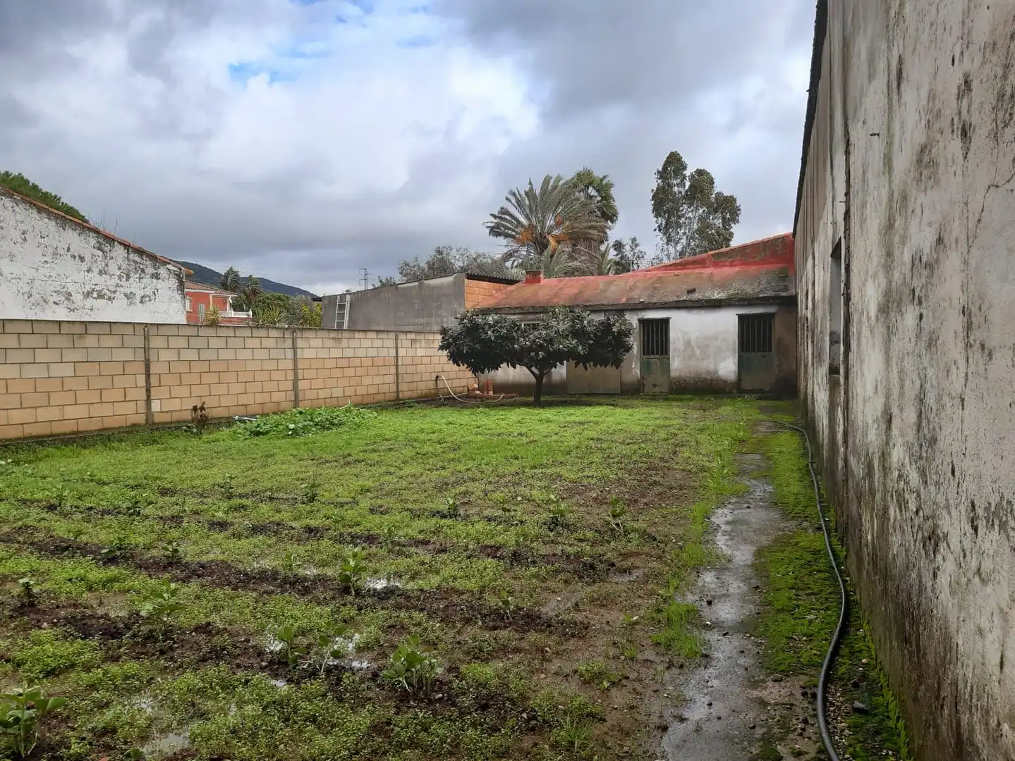 Maison rustique avec jardin à vendre à Carretera URBANIZACION LA GORGOJA - CALLE ALMANZOR, imagen 7