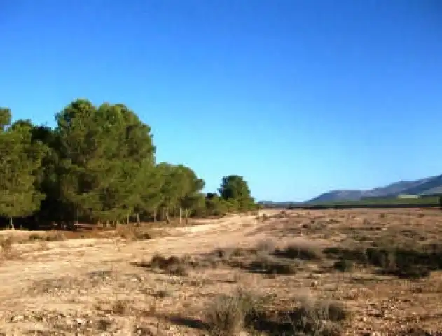 Casa rústica en venda a Aledo
