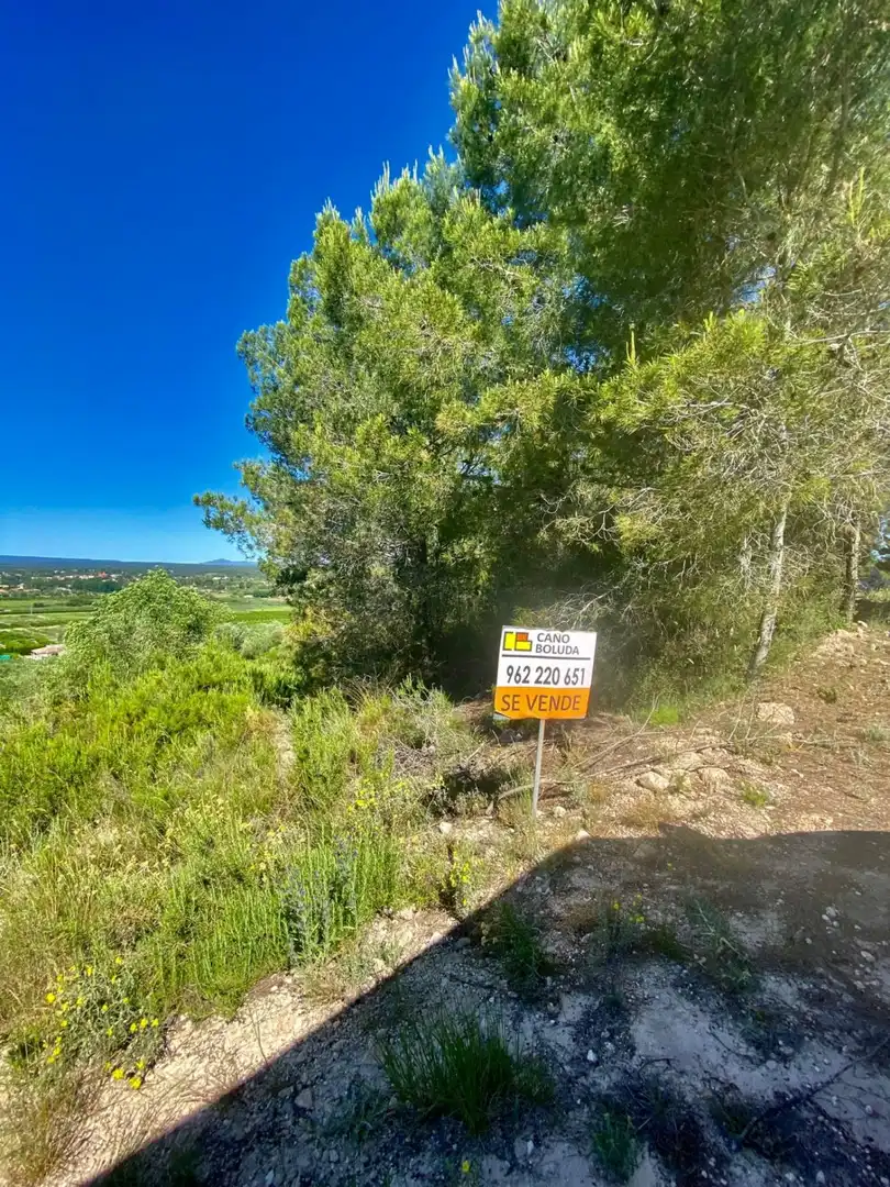 Terreno rustico in vendita a POLÍGONO 10 PARCELA 493, imagen 34