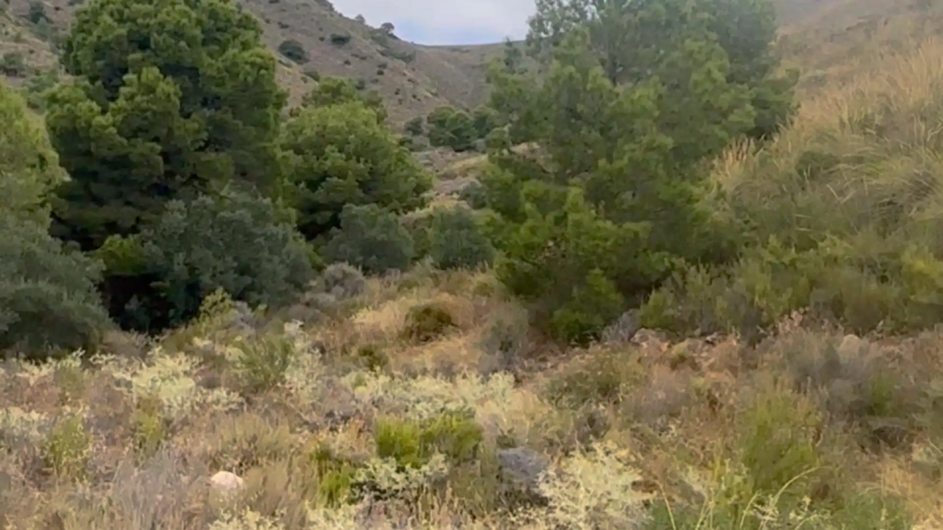 Country homes for sale in Lorca  with Private garden
