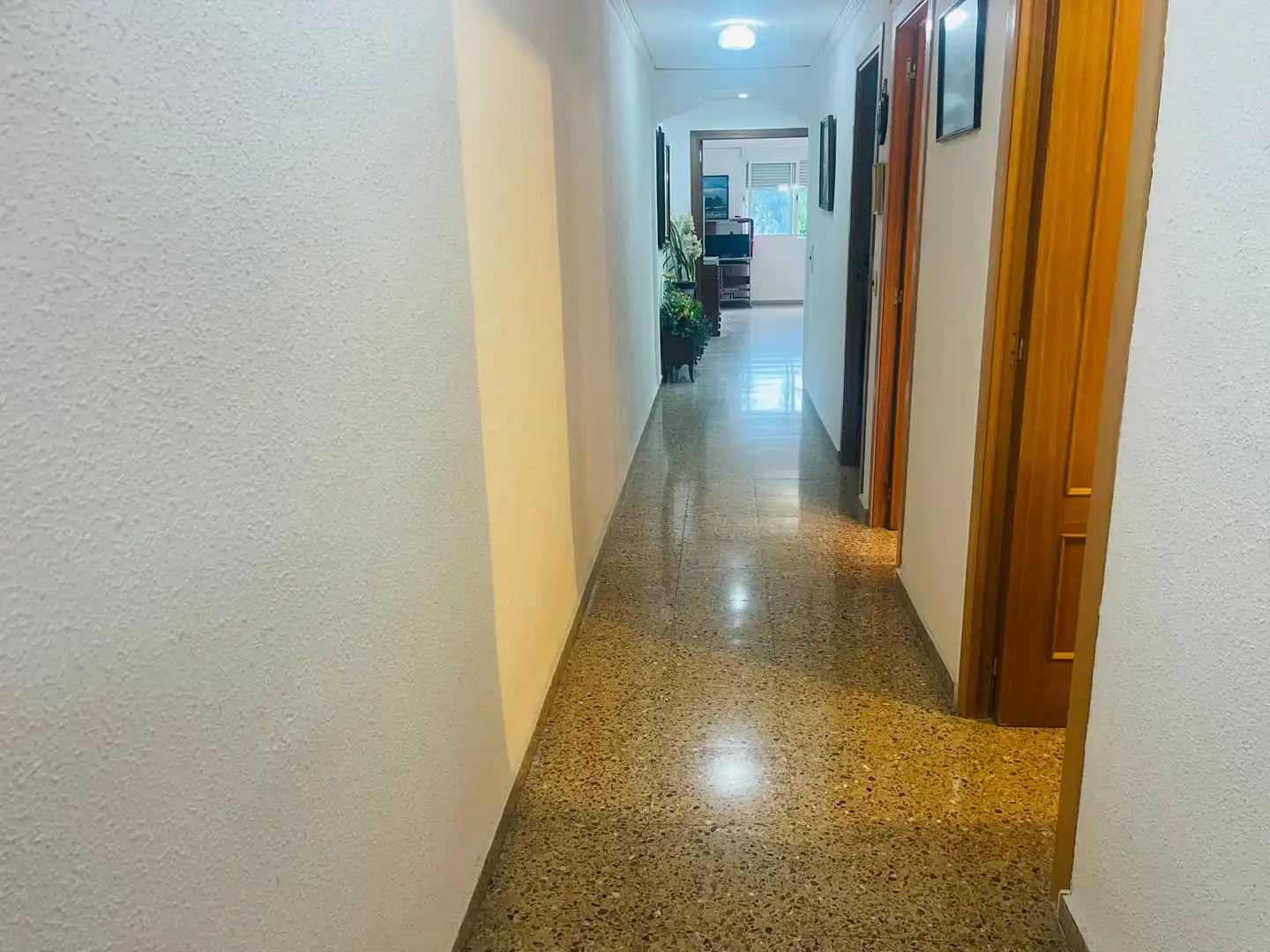 Pis amb terrassa en venda a Carrer Lluís Vives 19, imagen 7