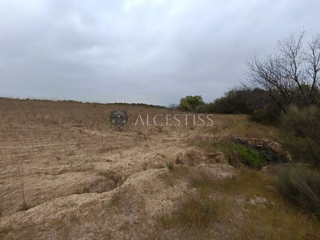 Terreno rústico en venta en Aldea del Fresno, imagen 10