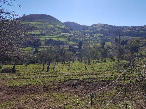 Terreno en Venta en N/A en Lavandera