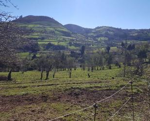 Land for sale in N/A, Lavandera