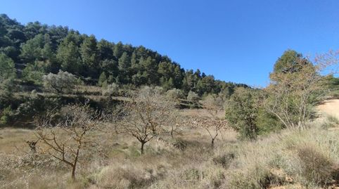 Finca rústica con maset en Beceite, immagine 5