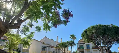 Vista exterior de Àtic en venda en Marbella amb Aire condicionat, Calefacció i Terrassa