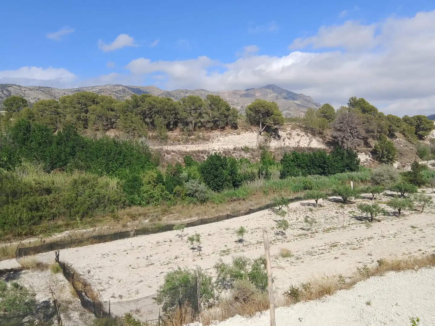Terreno rustico in vendita a N/A, imagen 10