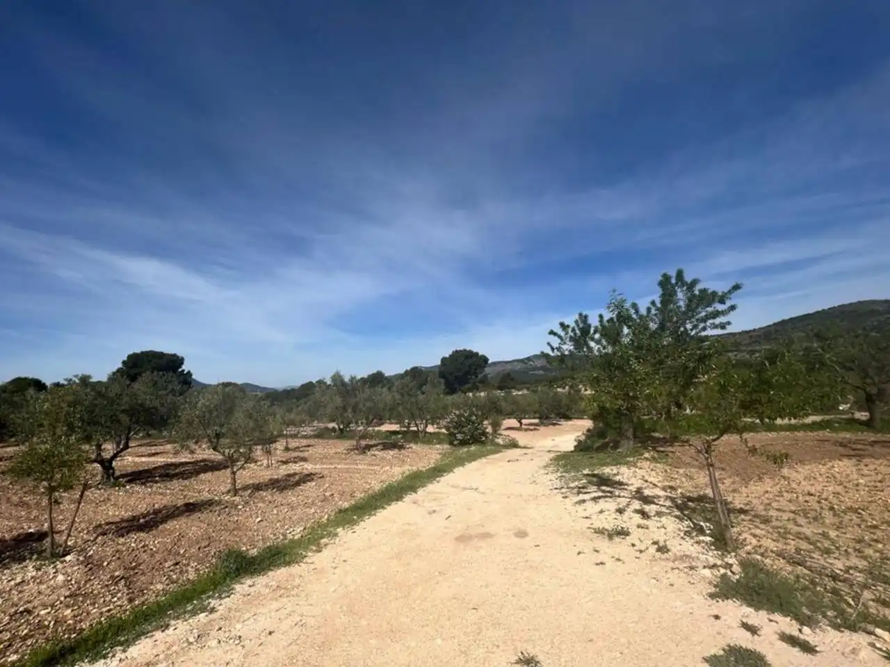 Chalet con jardín en venta en Calle Poligono, imagen 75